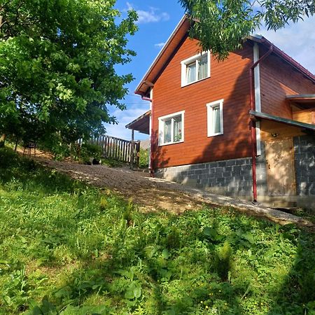 Карпатський Котедж Karpatian Cottage 沃罗赫塔 外观 照片