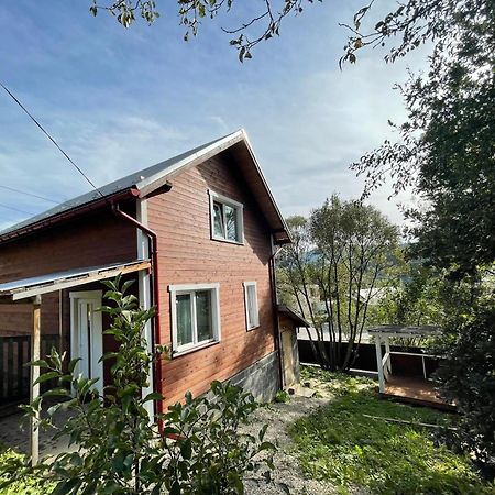 Карпатський Котедж Karpatian Cottage 沃罗赫塔 外观 照片