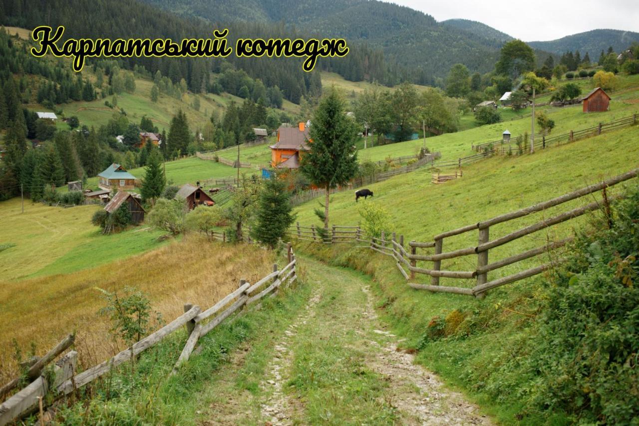 Карпатський Котедж Karpatian Cottage 沃罗赫塔 外观 照片