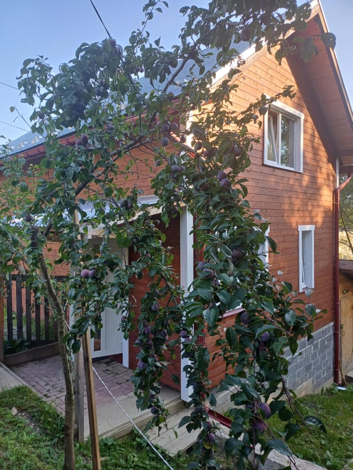 Карпатський Котедж Karpatian Cottage 沃罗赫塔 外观 照片