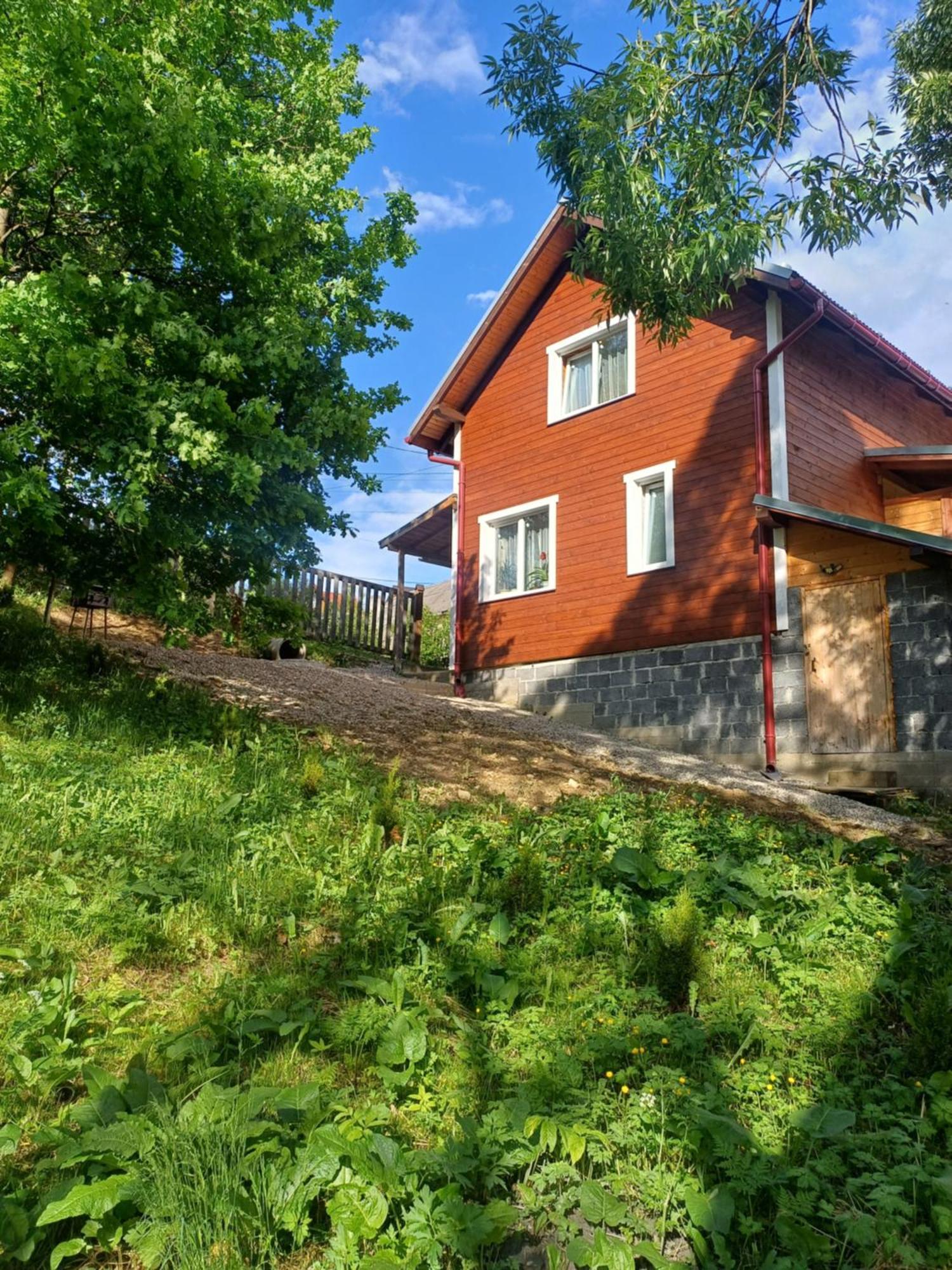 Карпатський Котедж Karpatian Cottage 沃罗赫塔 外观 照片